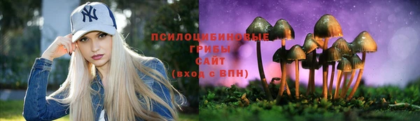 ПСИЛОЦИБИНОВЫЕ ГРИБЫ Верхний Тагил
