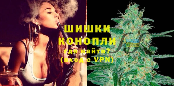 ПСИЛОЦИБИНОВЫЕ ГРИБЫ Верхний Тагил