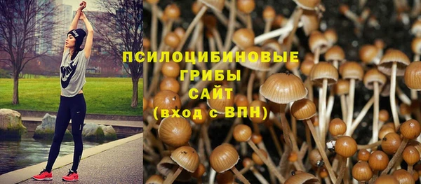 ПСИЛОЦИБИНОВЫЕ ГРИБЫ Верхний Тагил