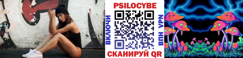 наркотики  Гвардейск  Галлюциногенные грибы Psilocybe 
